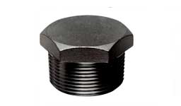 ASTM A182 Alloy Steel F1 Forged Hex Plug