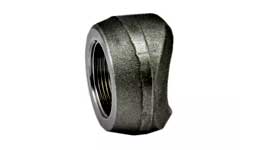 ASTM A105 Carbon Steel Threadolet