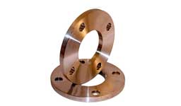 ASTM A151 Cupro Nickel ANSI Plate Flange