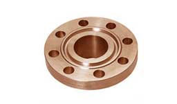 ASTM A151 Cupro Nickel Ring Type Joint Flange