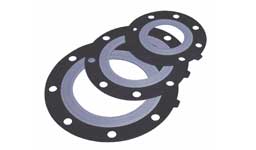 ASTM A182 SS 316Ti Gasket Flange