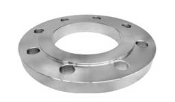 ASTM A182 SS 446 Raised Face Flange