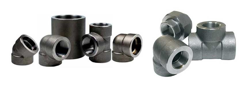 ASME B16.11 Forged Fittings Suppliers in Korea 