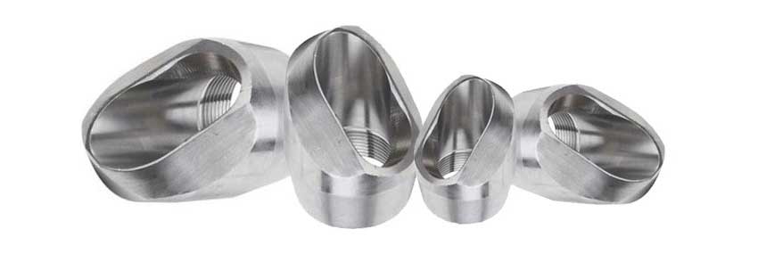 ASME B16.11 Outlet Fittings Suppliers in Europe 